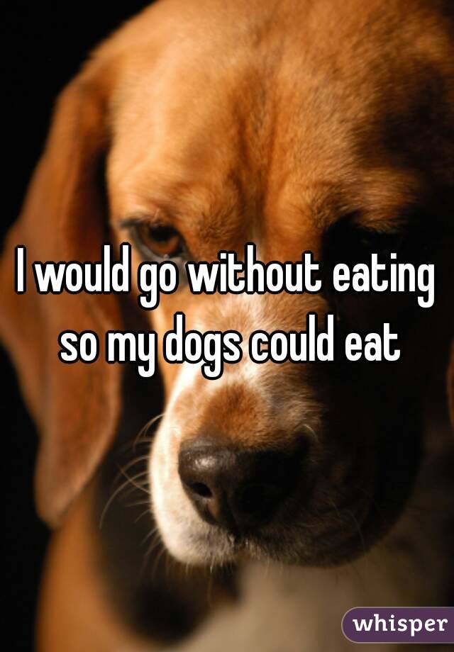 I would go without eating so my dogs could eat