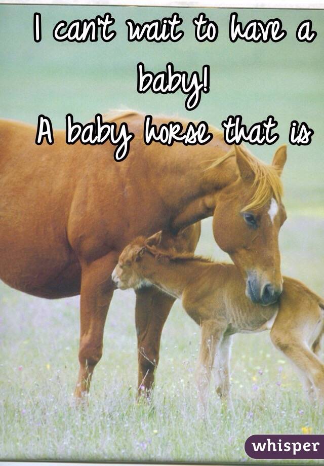 I can't wait to have a baby! 
A baby horse that is 