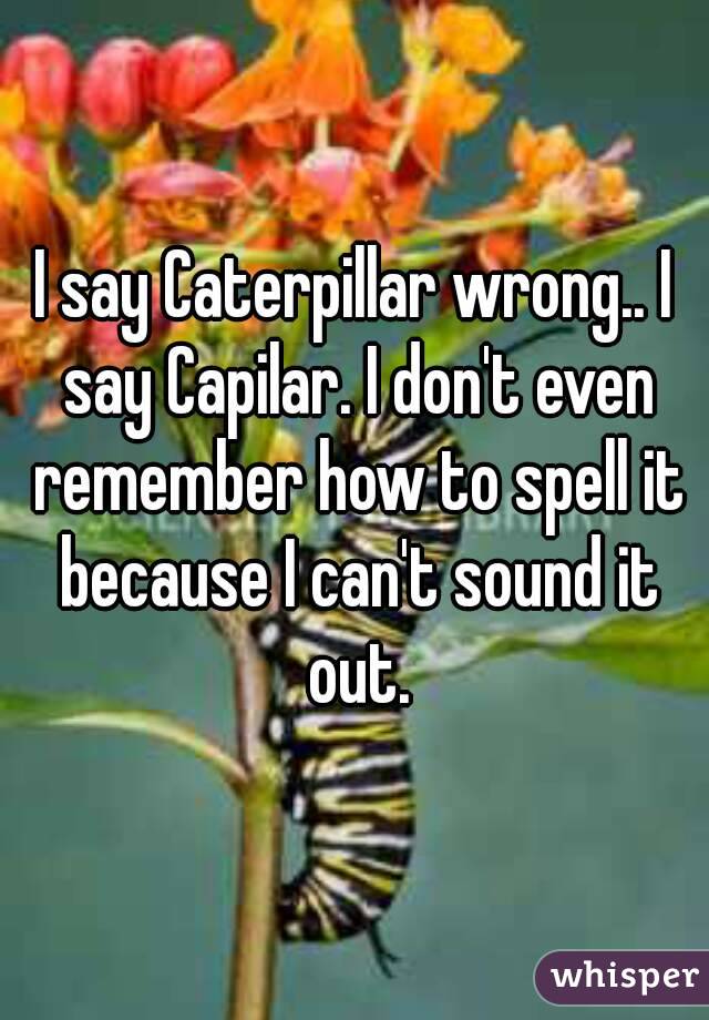 I say Caterpillar wrong.. I say Capilar. I don't even remember how to spell it because I can't sound it out.