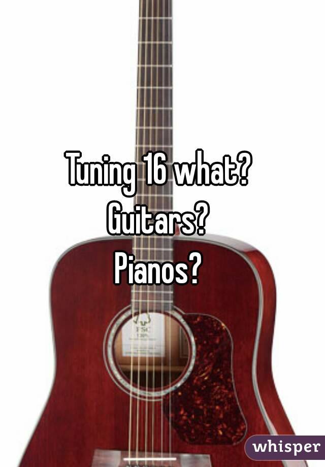 Tuning 16 what? 
Guitars? 
Pianos? 