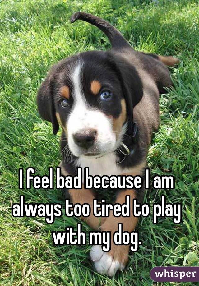 I feel bad because I am always too tired to play with my dog.