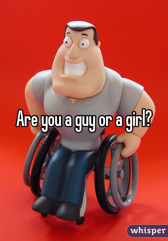 Are you a guy or a girl? 