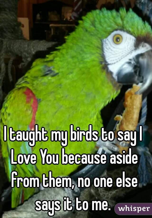 I taught my birds to say I Love You because aside from them, no one else says it to me. 