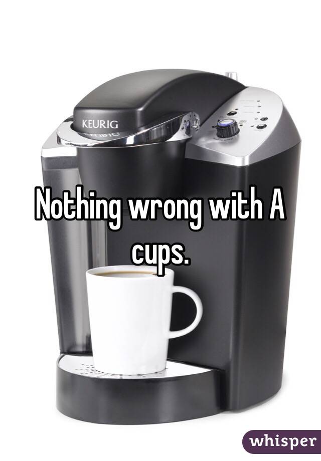 Nothing wrong with A cups.