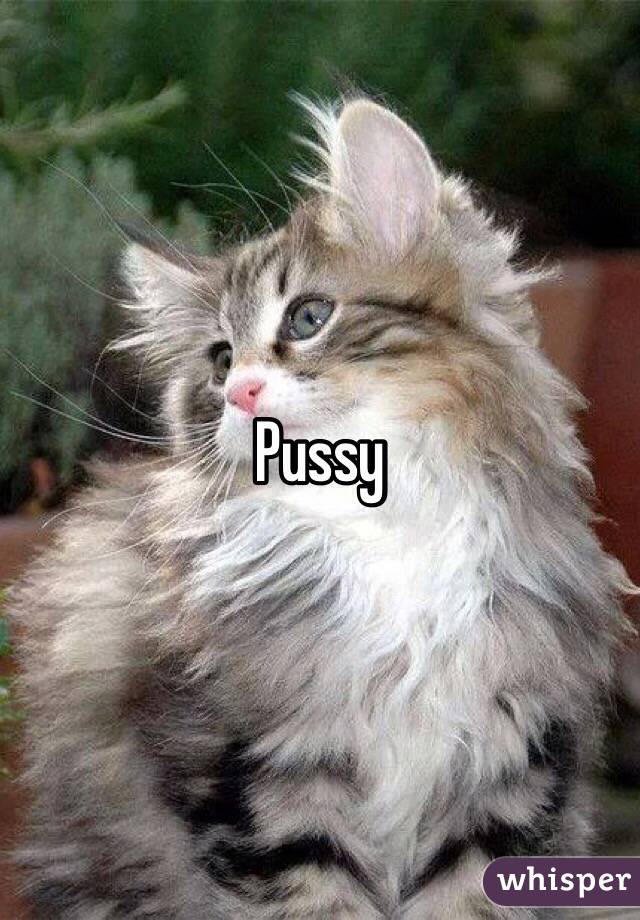 Pussy 