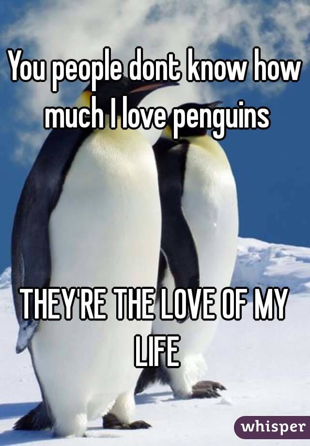 You people dont know how much I love penguins



THEY'RE THE LOVE OF MY LIFE