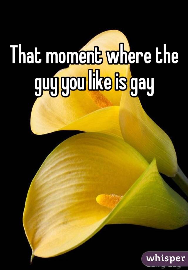 That moment where the guy you like is gay
