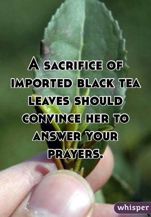 A sacrifice of imported black tea leaves should convince her to answer your prayers. 