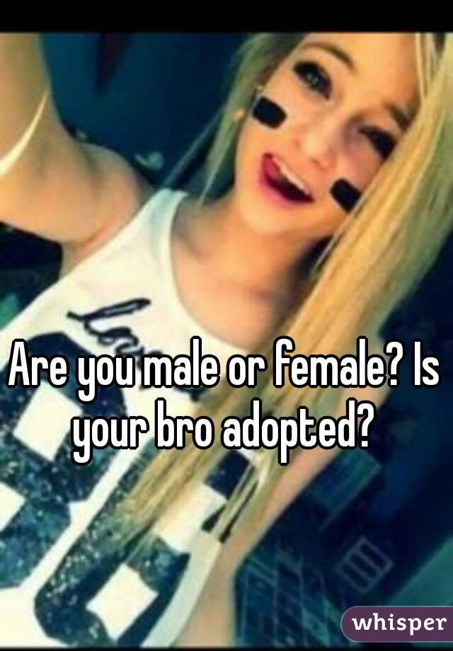Are you male or female? Is your bro adopted? 