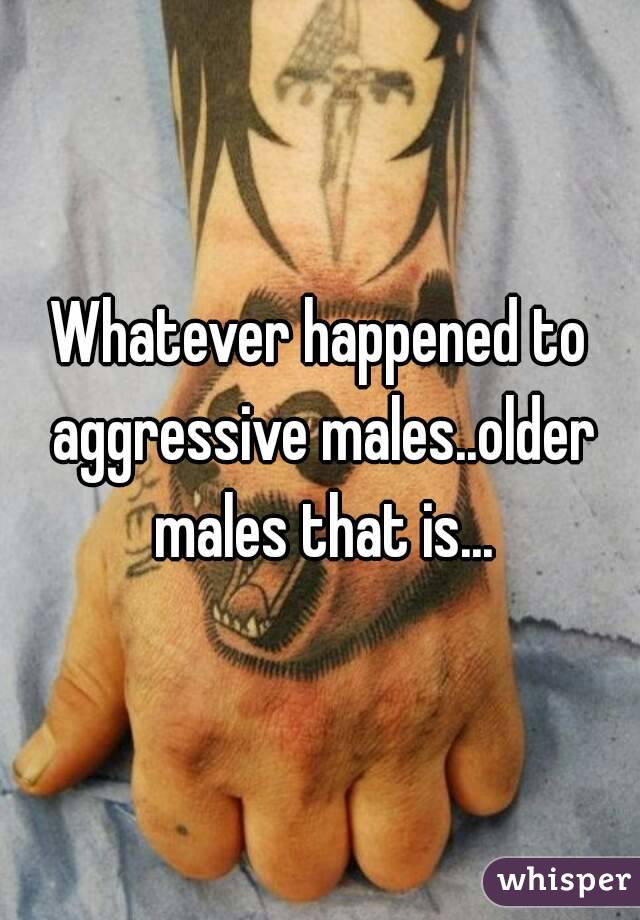 Whatever happened to aggressive males..older males that is...