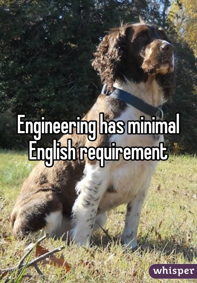 Engineering has minimal English requirement