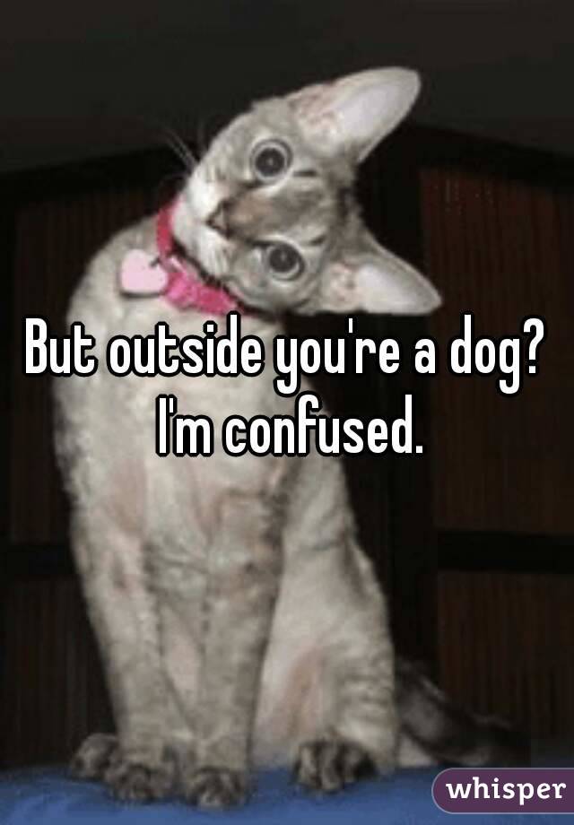 But outside you're a dog? I'm confused.