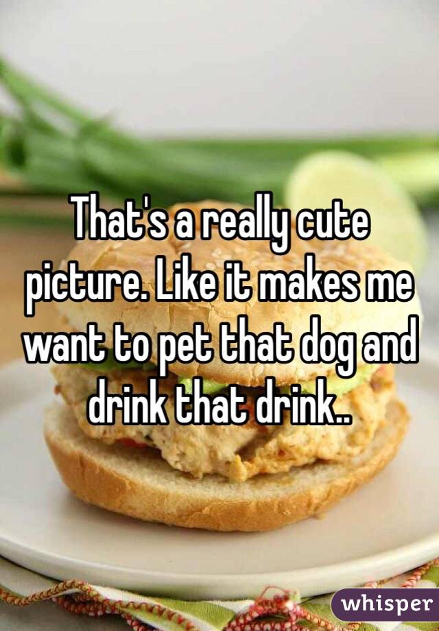 That's a really cute picture. Like it makes me want to pet that dog and drink that drink..