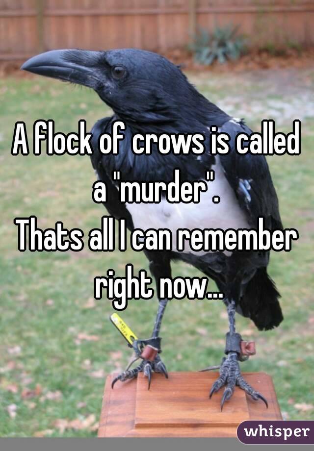 A flock of crows is called a "murder". 
Thats all I can remember right now...