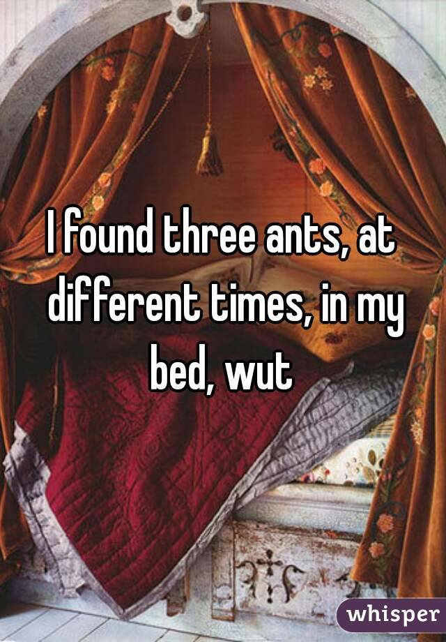 I found three ants, at different times, in my bed, wut 