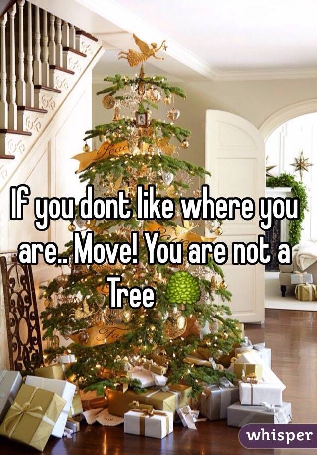 If you dont like where you are.. Move! You are not a Tree 🌳