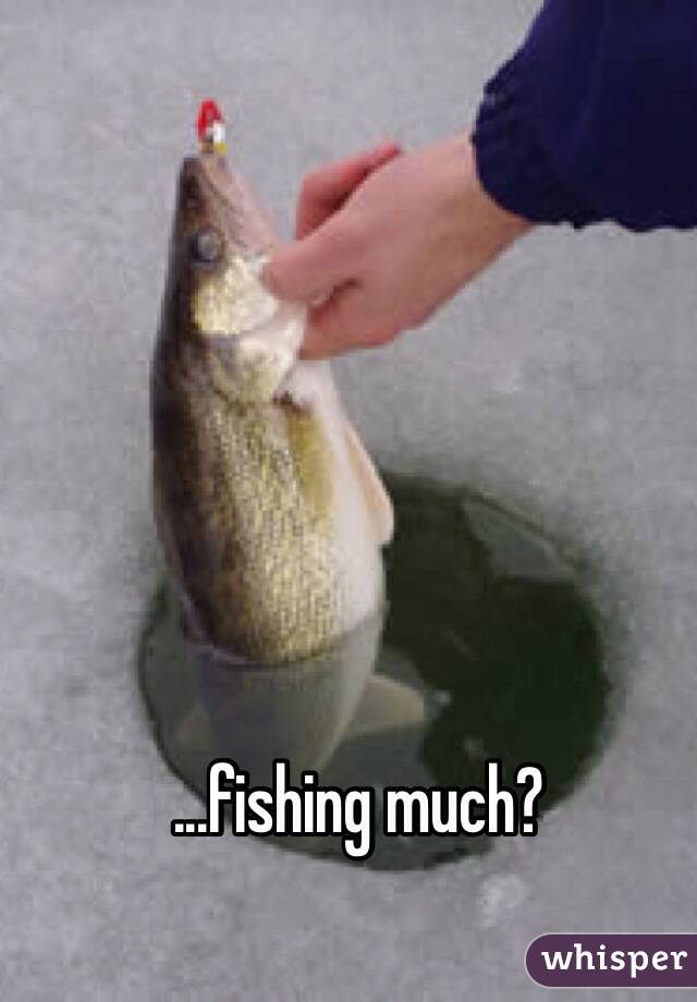 ...fishing much?