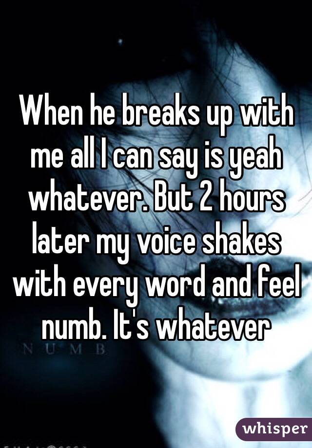 When he breaks up with me all I can say is yeah whatever. But 2 hours later my voice shakes with every word and feel numb. It's whatever 
