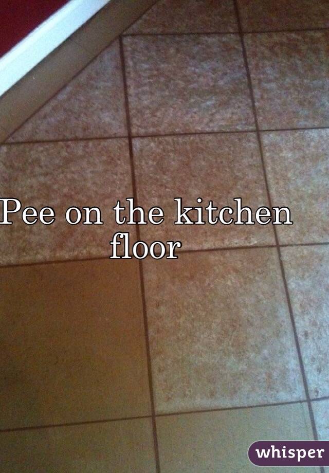 Pee on the kitchen floor