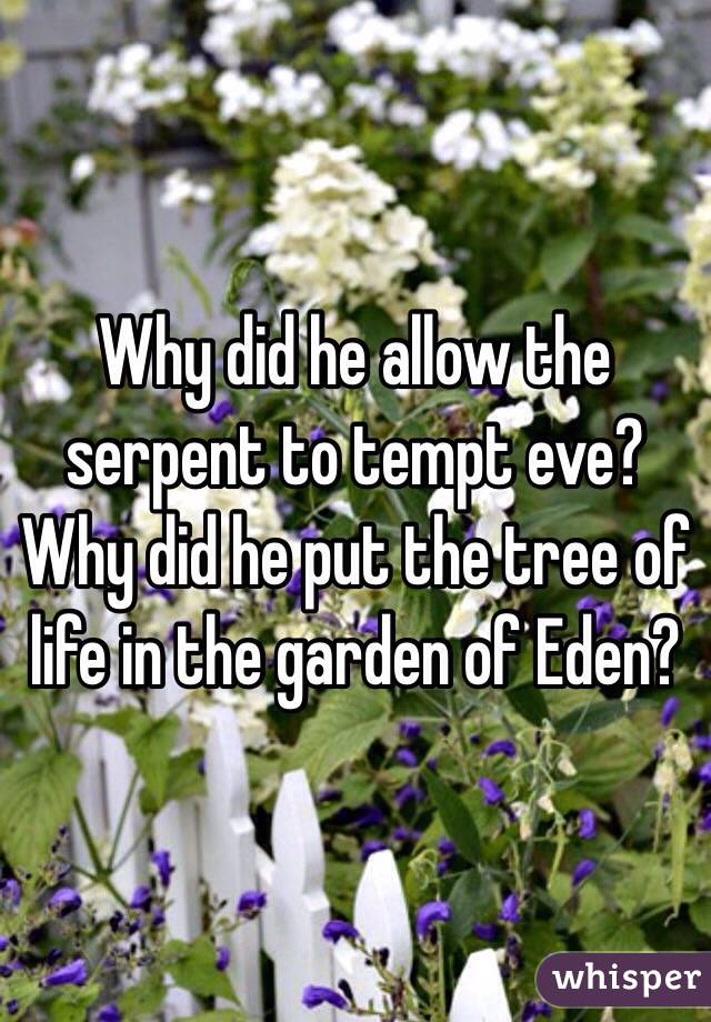 Why did he allow the serpent to tempt eve?  Why did he put the tree of life in the garden of Eden?  