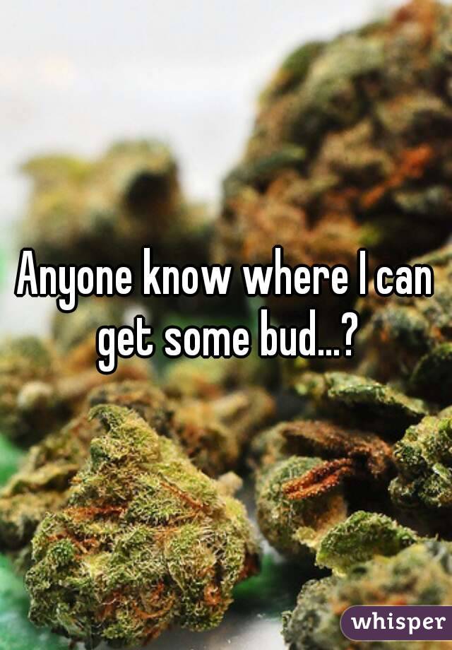 Anyone know where I can get some bud...?