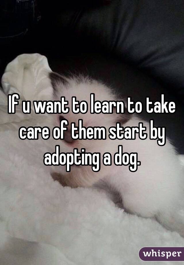 If u want to learn to take care of them start by adopting a dog.