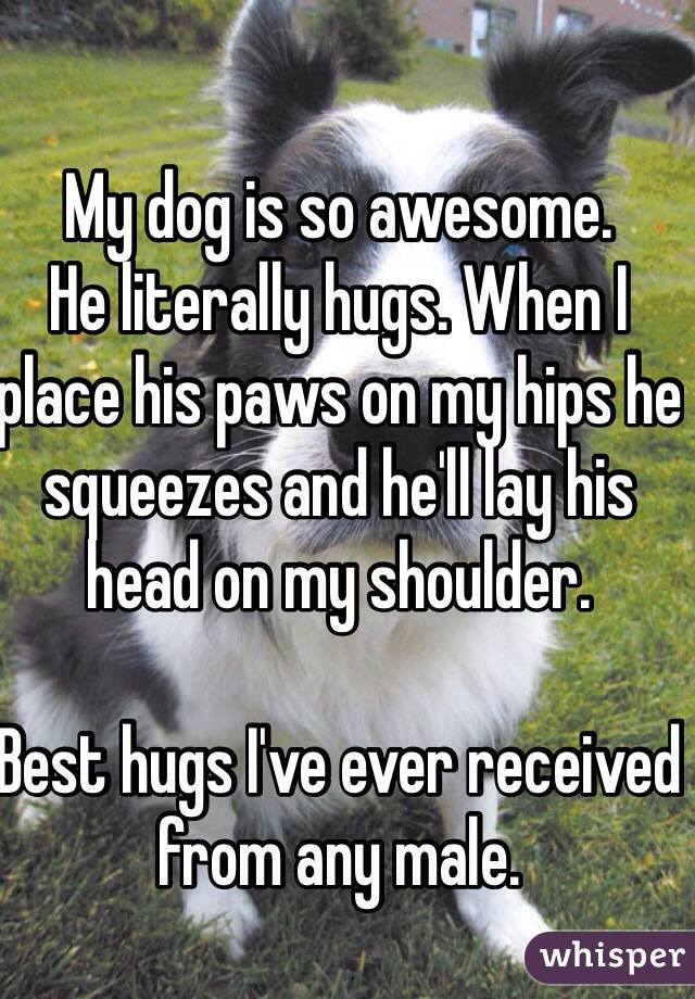 My dog is so awesome. 
He literally hugs. When I place his paws on my hips he squeezes and he'll lay his head on my shoulder.

Best hugs I've ever received from any male. 