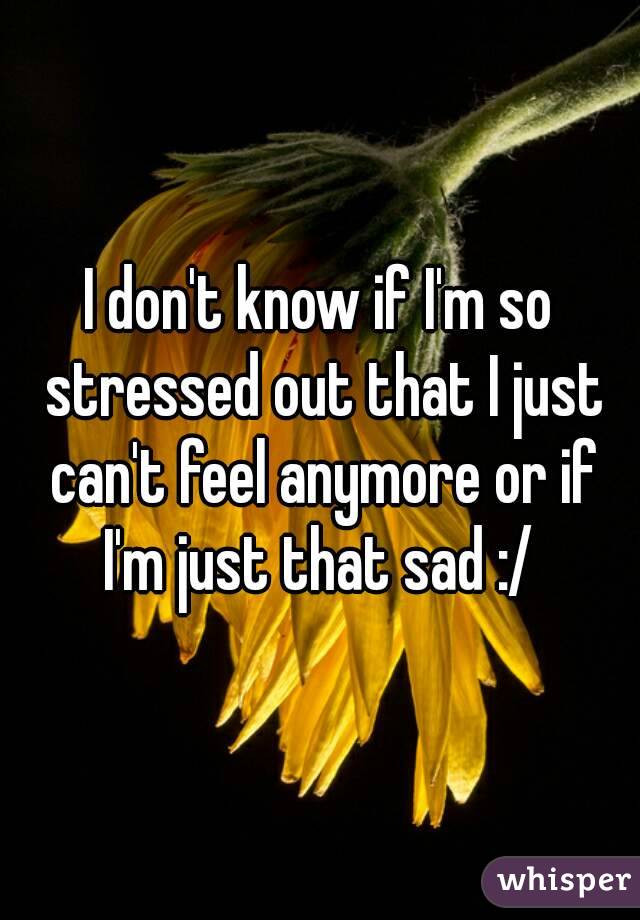 I don't know if I'm so stressed out that I just can't feel anymore or if I'm just that sad :/ 