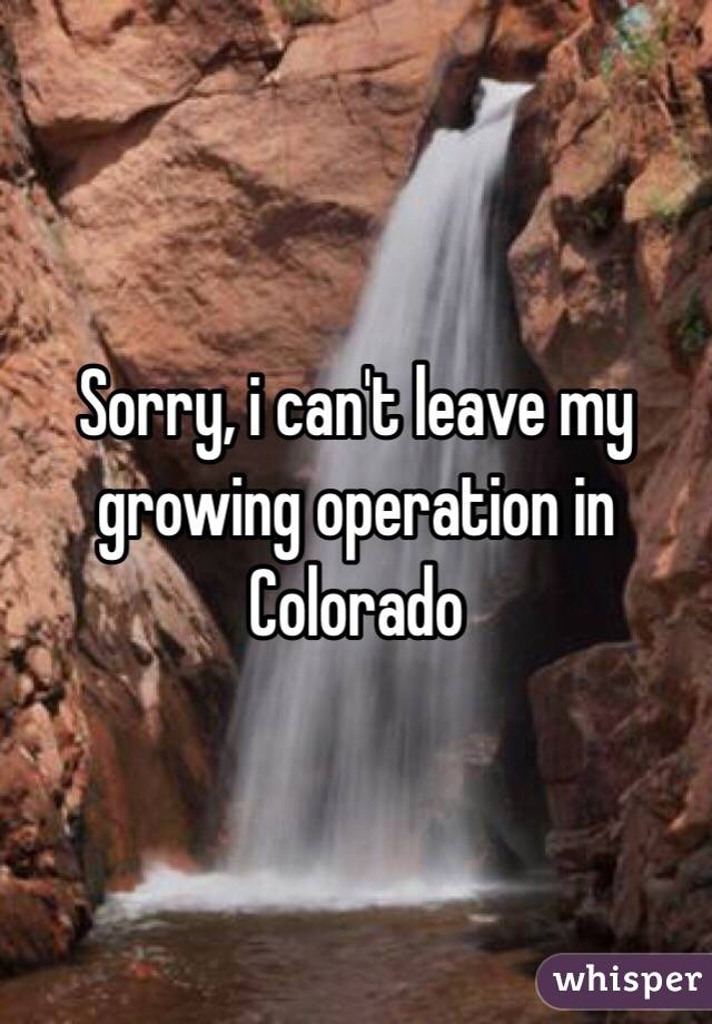 Sorry, i can't leave my growing operation in Colorado