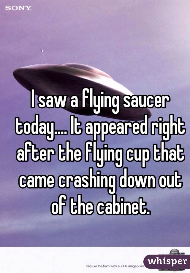  I saw a flying saucer today.... It appeared right after the flying cup that came crashing down out of the cabinet.
