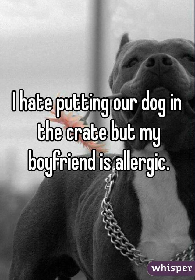 I hate putting our dog in the crate but my boyfriend is allergic.