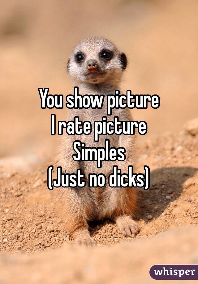 You show picture 
I rate picture
Simples
(Just no dicks)
