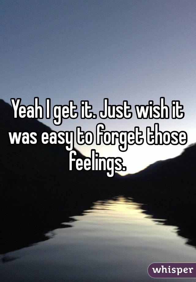 Yeah I get it. Just wish it was easy to forget those feelings. 