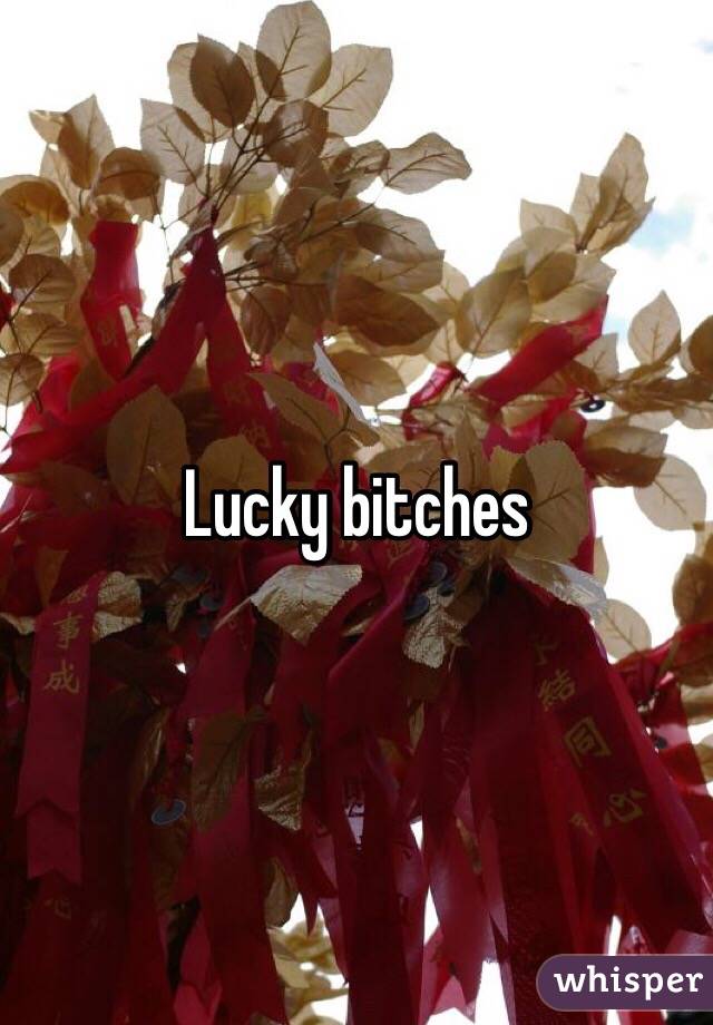 Lucky bitches