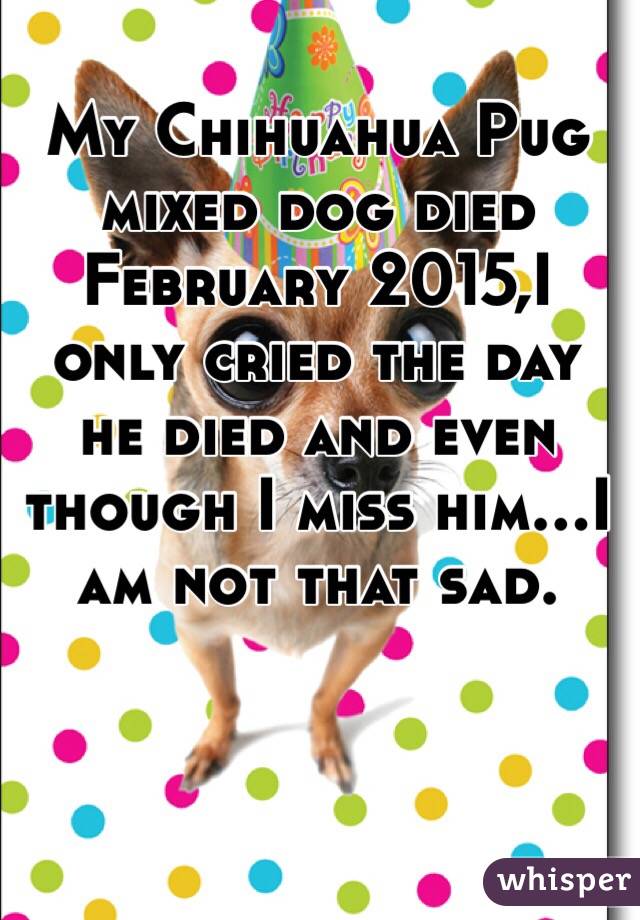 My Chihuahua Pug mixed dog died February 2015,I only cried the day he died and even though I miss him...I am not that sad.