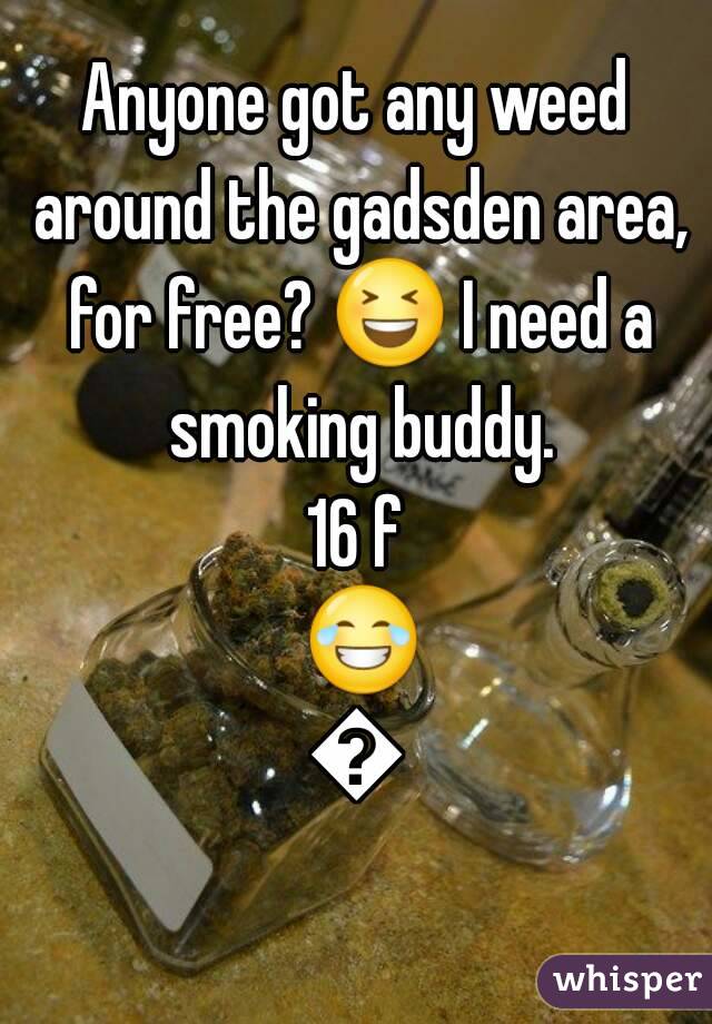 Anyone got any weed around the gadsden area, for free? 😆 I need a smoking buddy.
16 f 😂😂