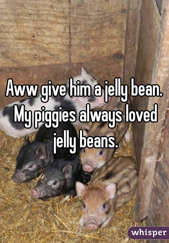 Aww give him a jelly bean. My piggies always loved jelly beans.