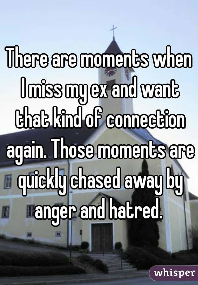There are moments when I miss my ex and want that kind of connection again. Those moments are quickly chased away by anger and hatred. 