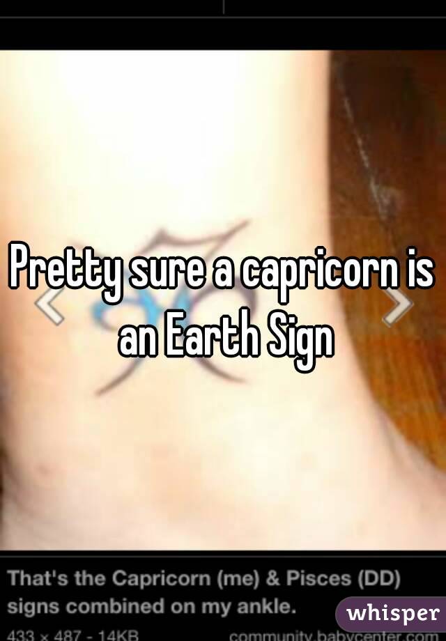 Pretty sure a capricorn is an Earth Sign