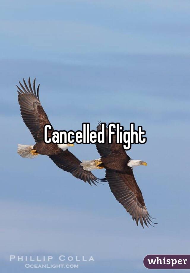 Cancelled flight 