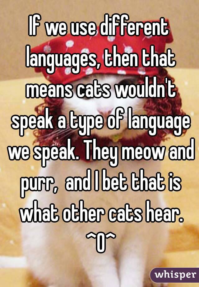 If we use different languages, then that means cats wouldn't speak a type of language we speak. They meow and purr,  and I bet that is what other cats hear. ^O^