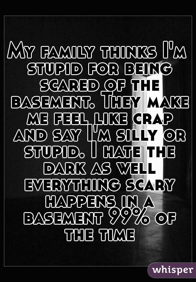 My family thinks I'm stupid for being scared of the basement. They make me feel like crap and say I'm silly or stupid. I hate the dark as well everything scary happens in a basement 99% of the time