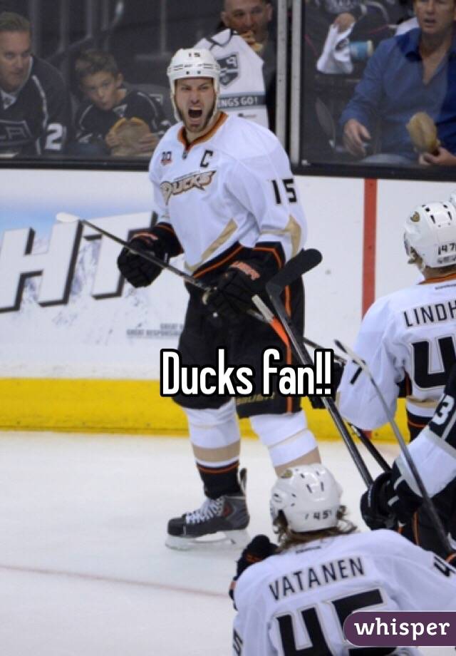 Ducks fan!!