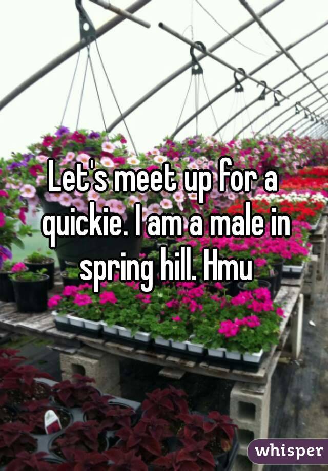 Let's meet up for a quickie. I am a male in spring hill. Hmu