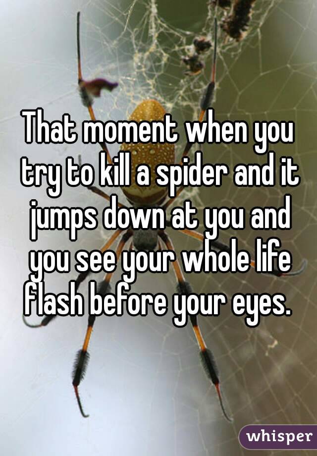 That moment when you try to kill a spider and it jumps down at you and you see your whole life flash before your eyes. 