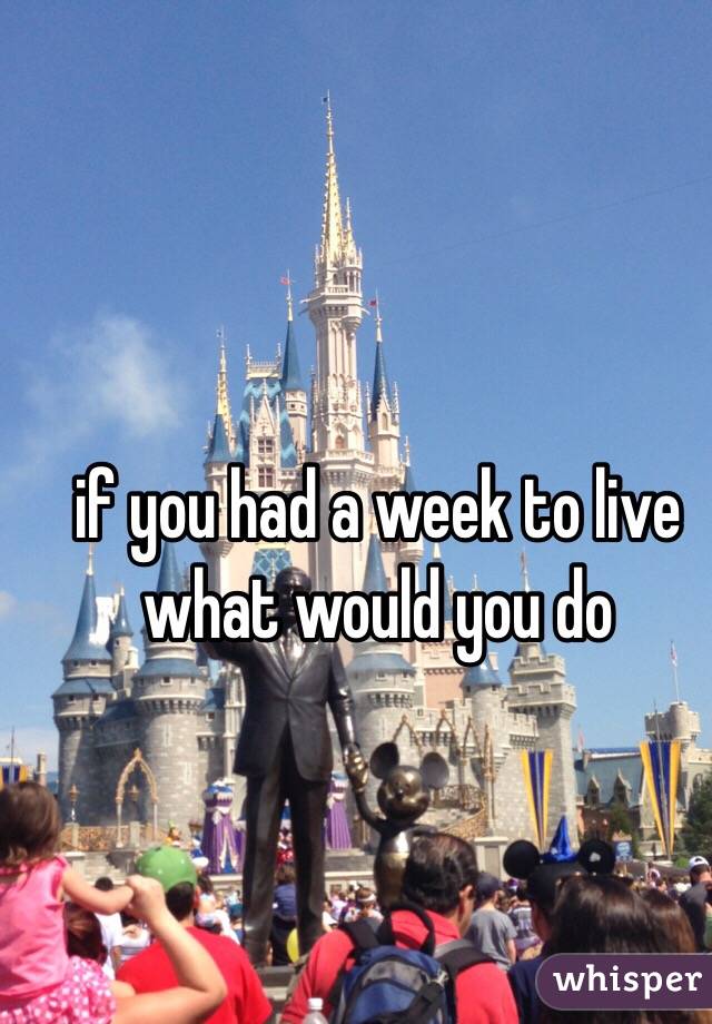 if you had a week to live what would you do 