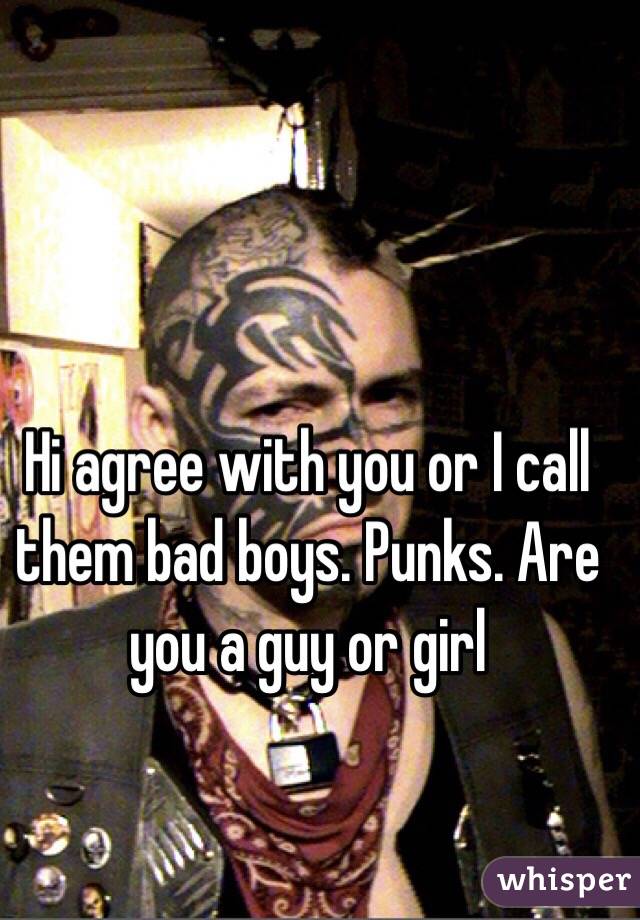 Hi agree with you or I call them bad boys. Punks. Are you a guy or girl 