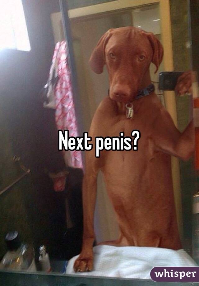 Next penis?