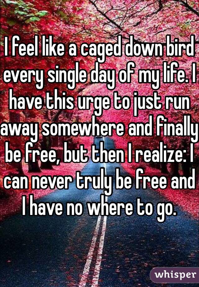 I feel like a caged down bird every single day of my life. I have this urge to just run away somewhere and finally be free, but then I realize: I can never truly be free and I have no where to go.