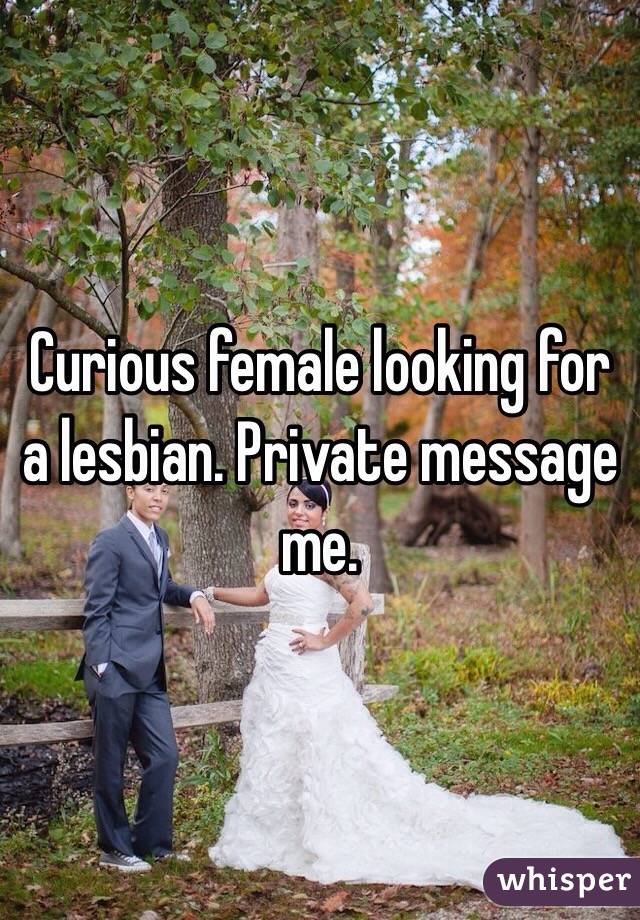 Curious female looking for a lesbian. Private message me. 